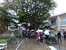 奈良尾神社の写真